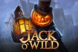 jack owild